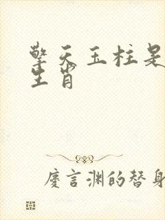 擎天玉柱是什么生肖