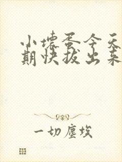 小坏蛋今天危险期快拔出来