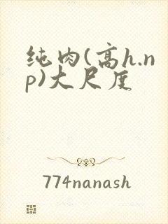 纯肉(高h.np)大尺度