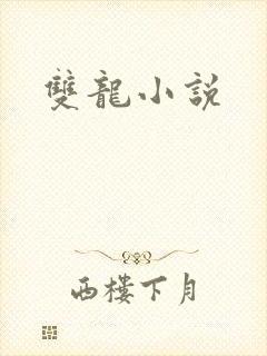 双龙小说