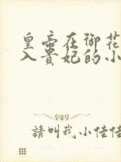 皇帝在御花园进入贵妃的小说