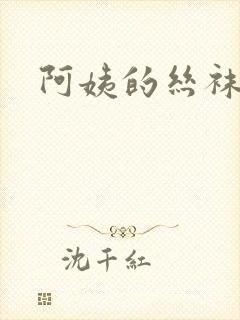 阿姨的丝袜小说