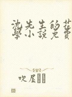 沈先生的花式教学小说免费