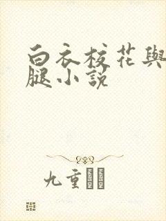 白衣校花与大长腿小说