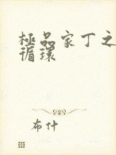 极品家丁之因果循环