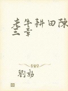 老牛耕田陈雪第三章