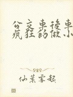 公交车后车座的疯狂的做小