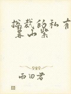 总裁的私有宝贝 暮山紫