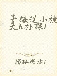 青梅从小被c到大h补课1