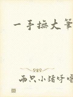 一手抚大笔趣阁