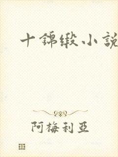 十锦缎小说