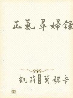 正气寻妇录