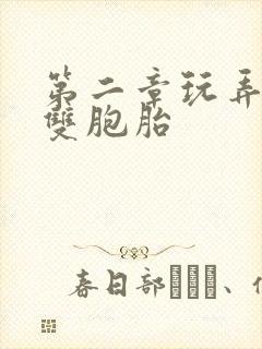 第二章玩弄少妇双胞胎