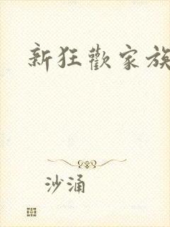 新狂欢家族小说