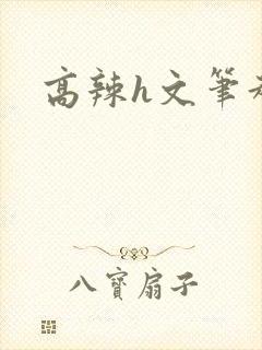 高辣h文笔趣阁