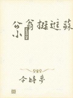 公翁挺进苏玥的小泬