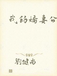 我的娇妻公务员