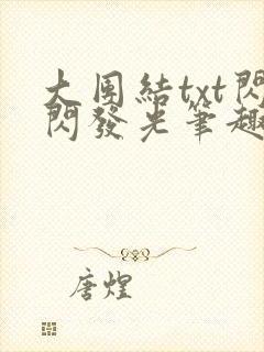 大团结txt闪闪发光笔趣阁