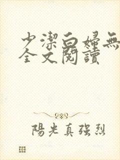 少洁白妇无删减全文阅读