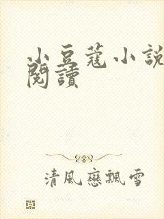 小豆蔻小说全文阅读