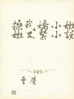 搡我娇小嫩苞又嫩又紧小说