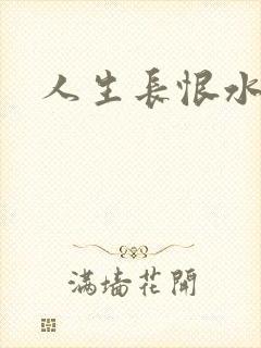 人生长恨水长东