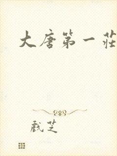 大唐第一庄