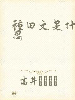 种田文是什么意思