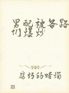 男配被各路大佬们爆炒