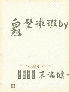 白璧微瑕by连翘