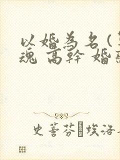 以婚为名 (军魂 高干 婚恋)