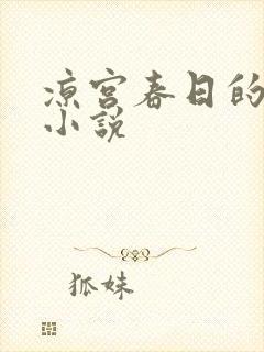 凉宫春日的忧郁小说