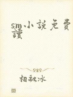 sm小说免费阅读