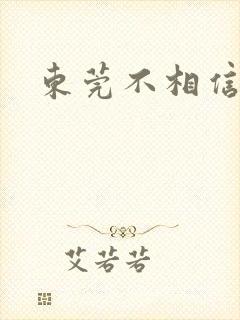 东莞不相信眼泪