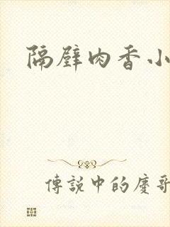 隔壁肉香小说