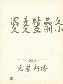 国产精品久久久久久亚洲小说