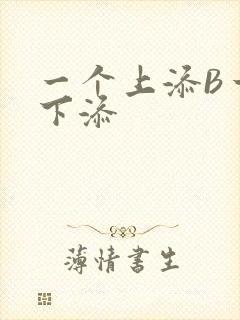 一个上添B一个下添