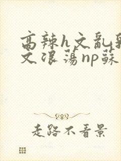 高辣h文乱乳h文浪荡np苏夏