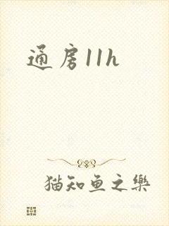 通房11h