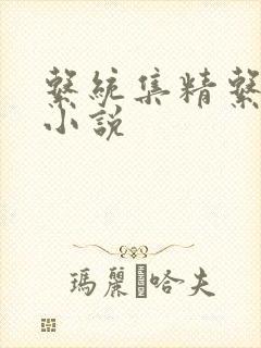 系统集精系统 小说