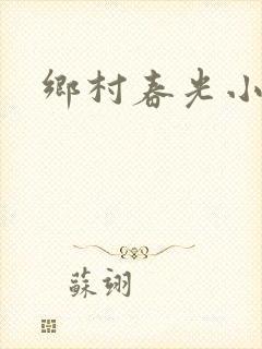 乡村春光小说