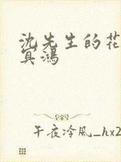 沈先生的花式调冥鸿