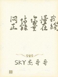 网站你懂我意思正能量在线观看免费软件小说