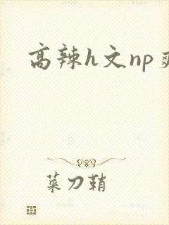高辣h文np爽