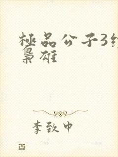 极品公子3续世枭雄