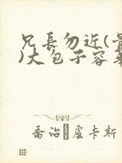 兄长勿近(骨科)大包子容华