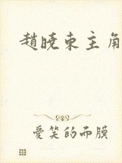 赵晓东主角小说