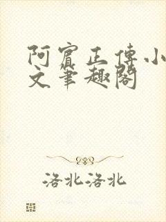 阿宾正传小说全文笔趣阁