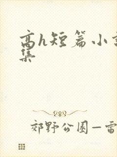 高h短篇小说合集