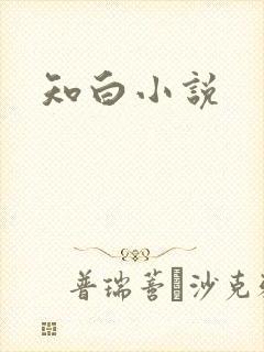 知白小说